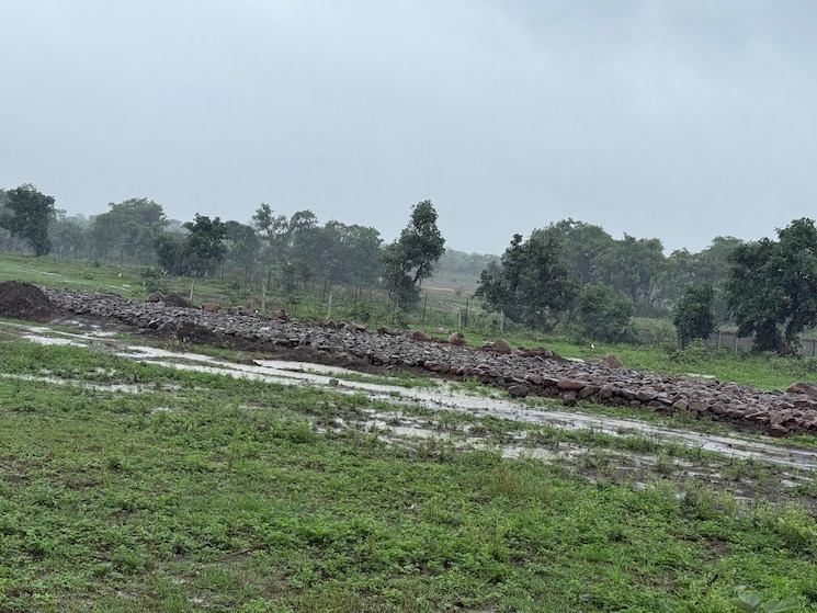 undefined, rolu khedi  11025 Sq.Ft. Plot In Rolu Khedi Bhopal 9059125