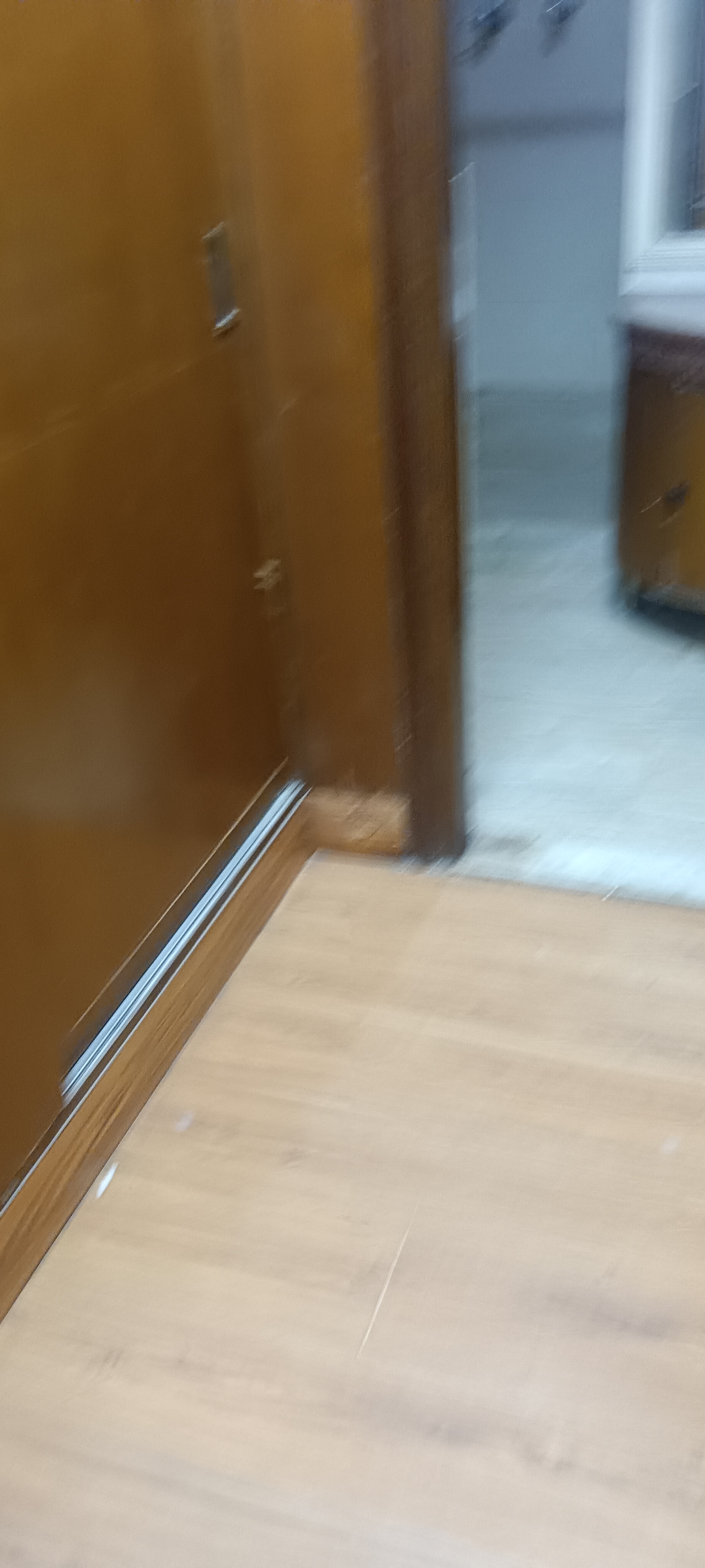 1 BHK Builder Floor For Rent in Sector 31