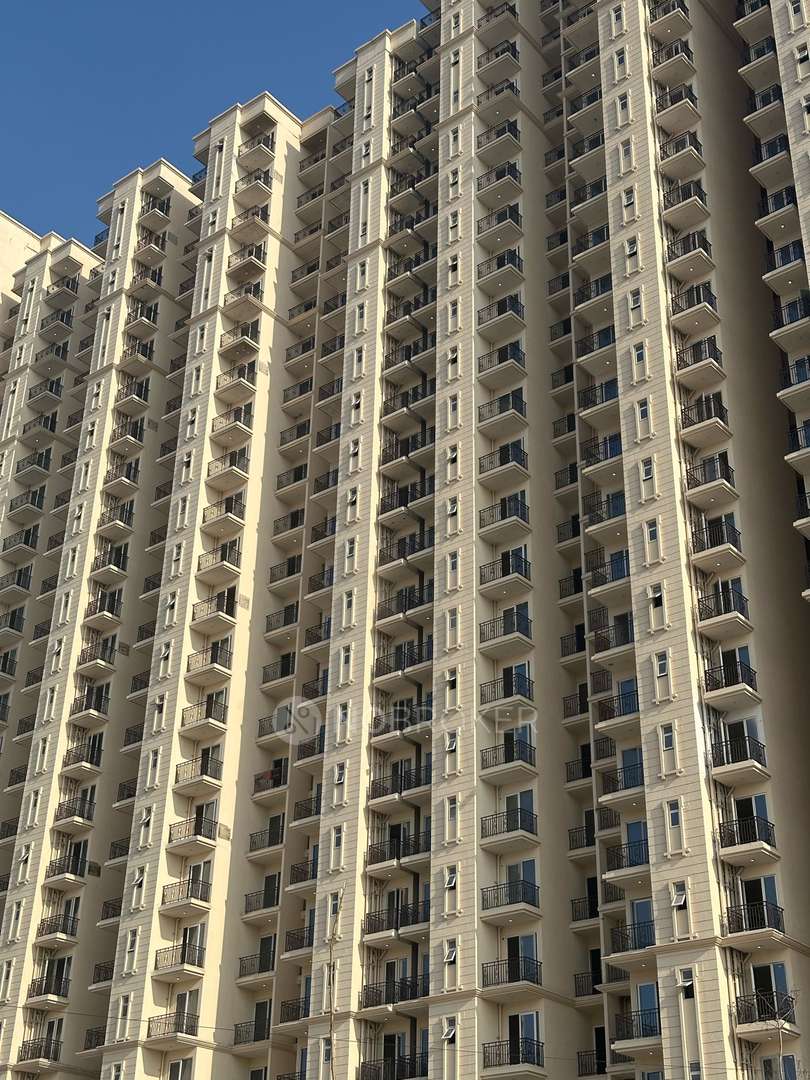 3 BHK Apartment For Sale in Signature Global Golf Greens
