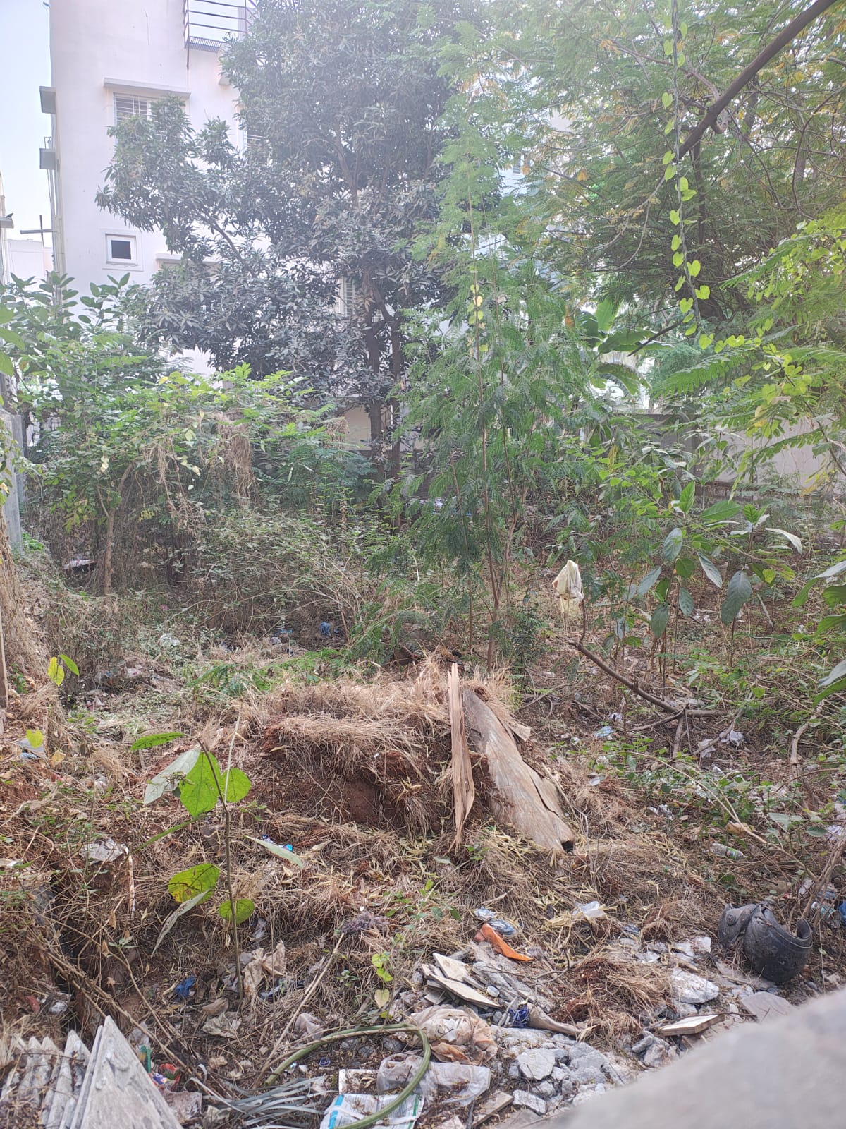 Plot For Sale in Royal Rajputana co