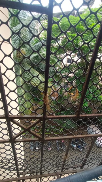 Balcony in 1 BHK Apartment at Highland Residency CHSL, Balkum Pada – for Rent
