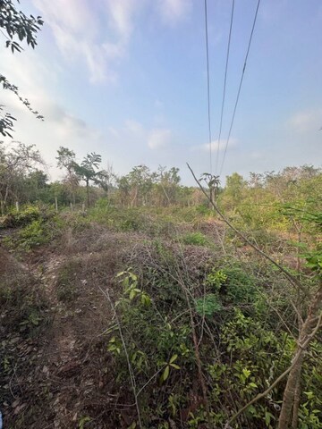  Plot For Sale in Aldona