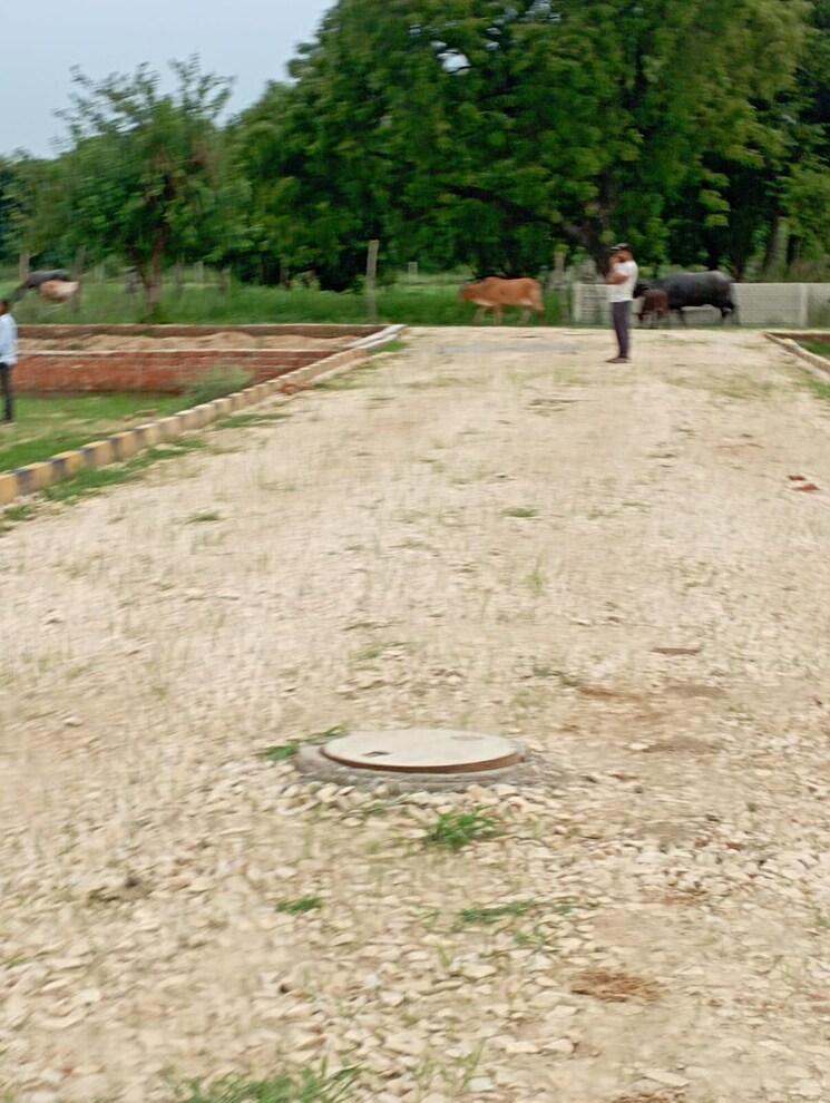 undefined, sheetal-residency-kamta  1055 Sq.Ft. Plot In Kamta Lucknow 9059657