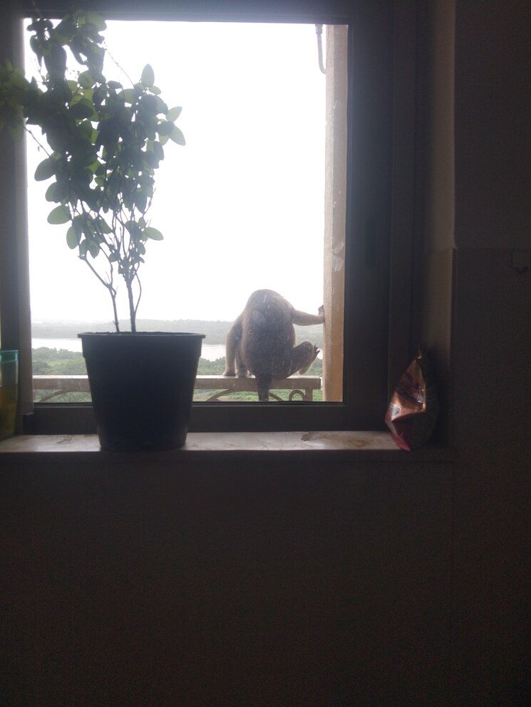 Living Room, hiranandani-estate-penrose 1 Bedroom 595 Sq.Ft. Apartment In Thane West Thane 9059662