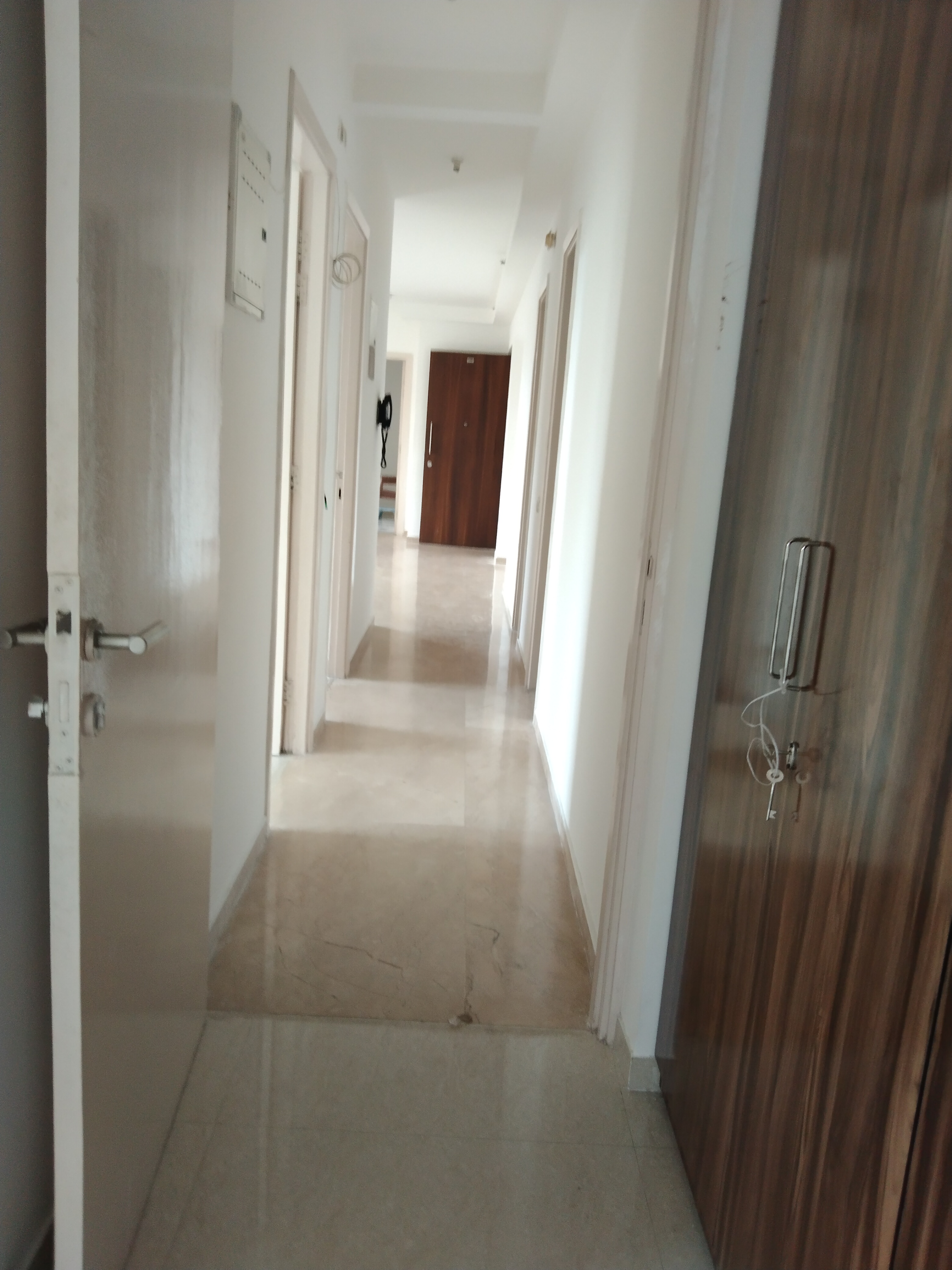 2.5 BHK + Pooja Room Apartment For Rent in Hiranandani Estate Flamingo