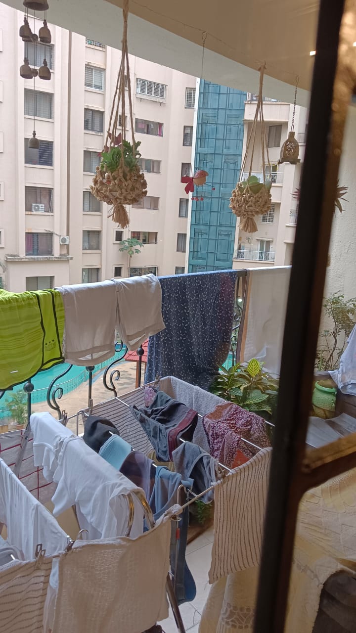 2 BHK Apartment For Rent in Kumar Sophronia