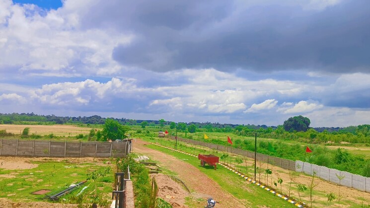 Garden, sultanpur road  5000 Sq.Ft. Plot In Sultanpur Road Lucknow 9059803