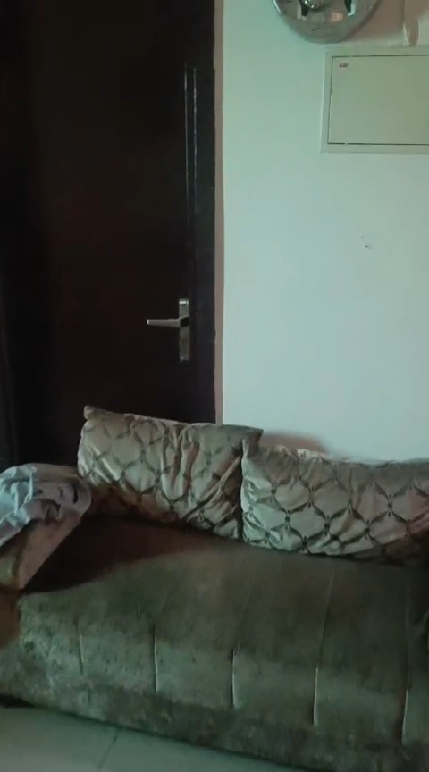 3 BHK Apartment For Sale in Parklands