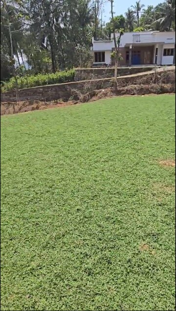 Plot Area in  Land at Thrissur Road – for Sale