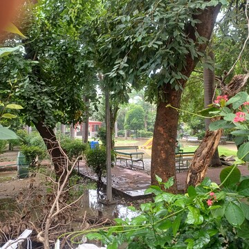3 BHK Independent House – Garden View at Sector 19 - for Sale