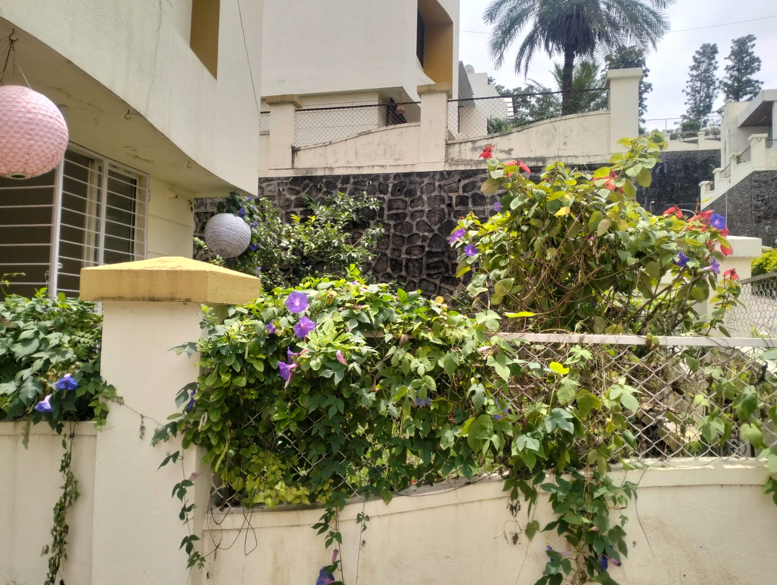 4 BHK + Servant Room Independent House For Rent in Shreyas Lazy Rock