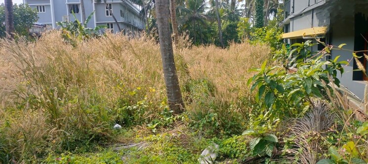 Garden, chelakottukara  10454 Sq.Ft. Plot In Chelakottukara Thrissur 9060232