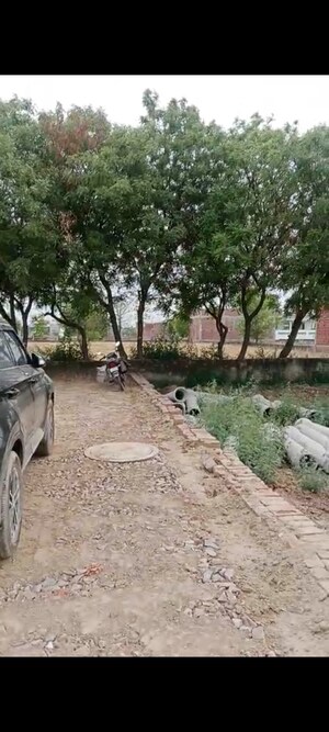 Plot Area in  Plot at White Orchid, Sector 84 – for Sale