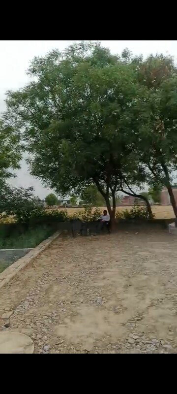 Plot Area in  Plot at White Orchid, Sector 84 – for Sale