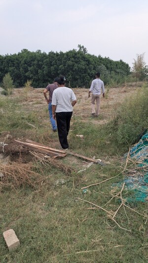 Plot Area in  Plot at Sector 150 – for Sale