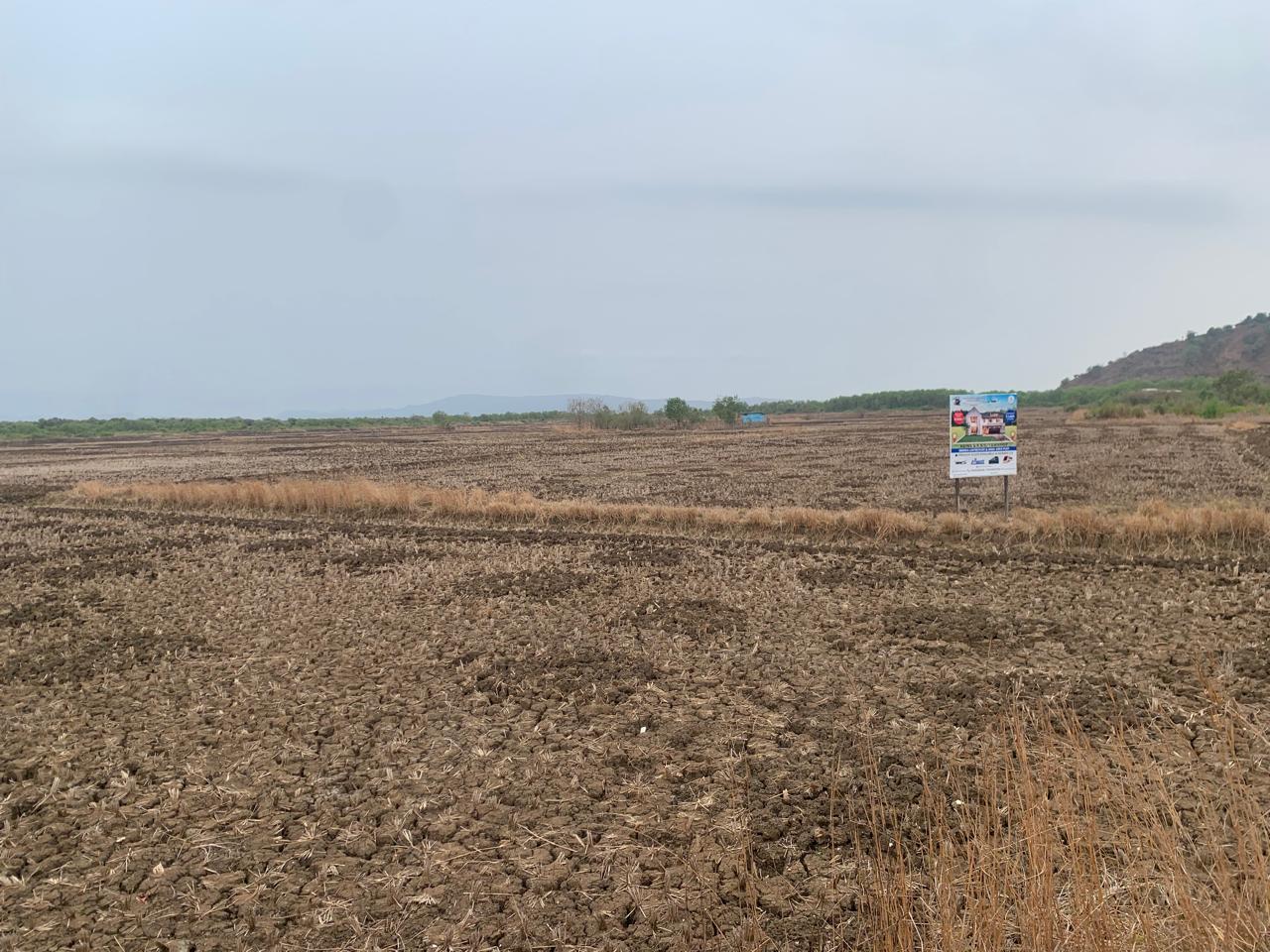 Plot For Sale in Bunglow Plot 