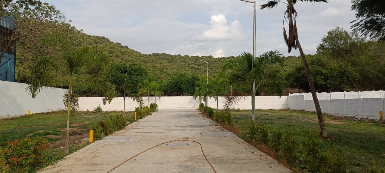 Plot For Sale in Samsur