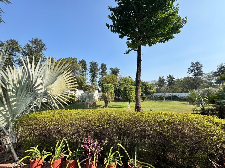 Garden, chattarpur 5 Bedroom 10000 Sq.Ft. Villa In Chattarpur Delhi 9061280