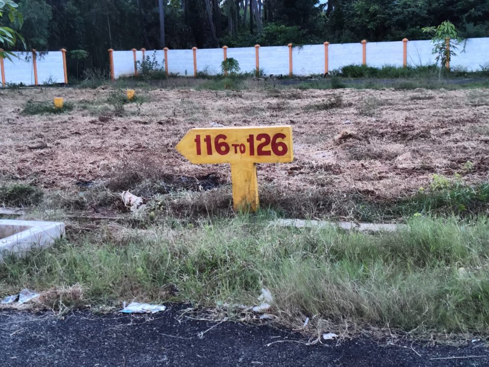 Plot For Sale in Bhogapuram
