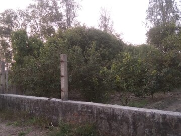 Plot Area in  Plot at Wazidpur – for Sale
