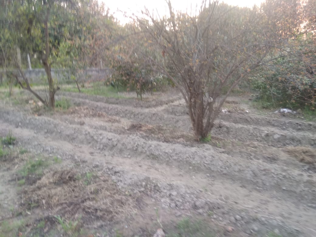 Plot For Sale in Wazidpur