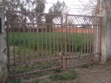 Plot Area in  Plot at Wazidpur – for Sale
