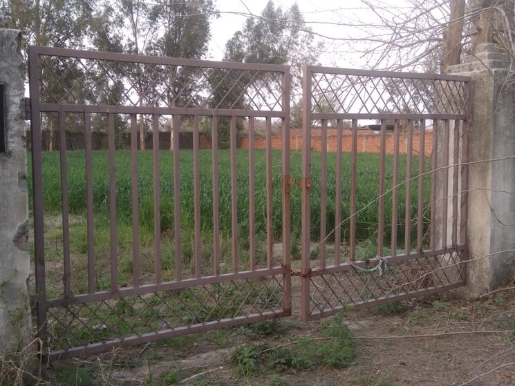 undefined, wazidpur  1008 Sq.Ft. Plot In Wazidpur Noida 9061257