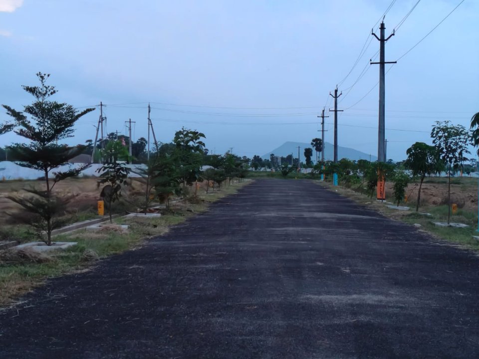 Plot For Sale in Bhogapuram