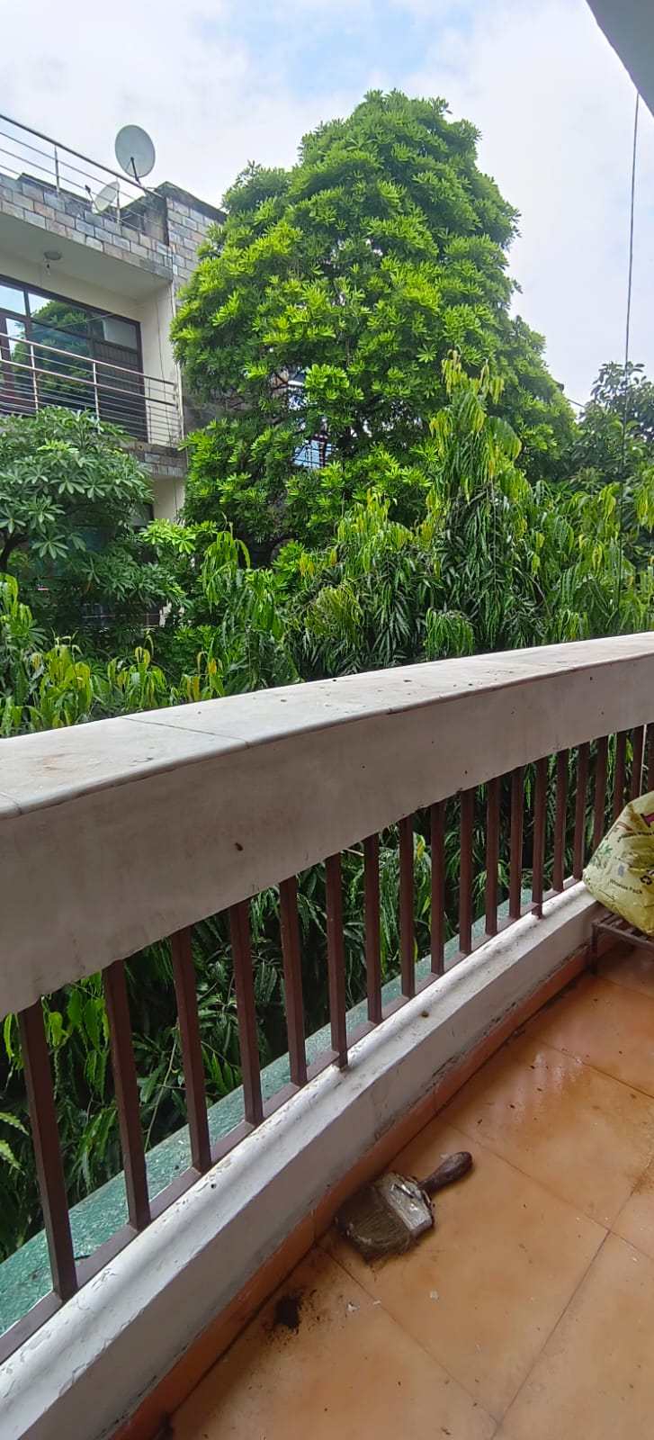 3 BHK + Pooja Room Builder Floor For Rent in Block D