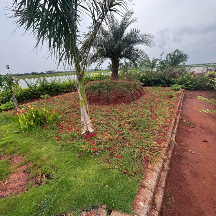 undefined, vijayawada one town Commercial Land 1 Acre In Vijayawada One Town Vijayawada 9061525