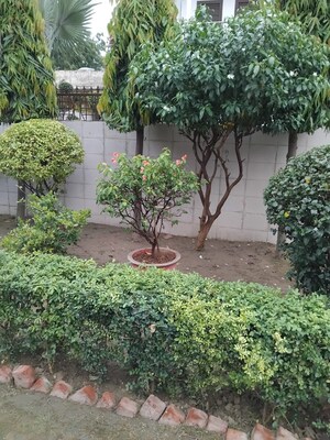 6 BHK Independent House – Garden View at Delta Iii Greater Noida - for Sale