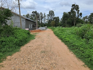  Plot For Sale in Frazer Town
