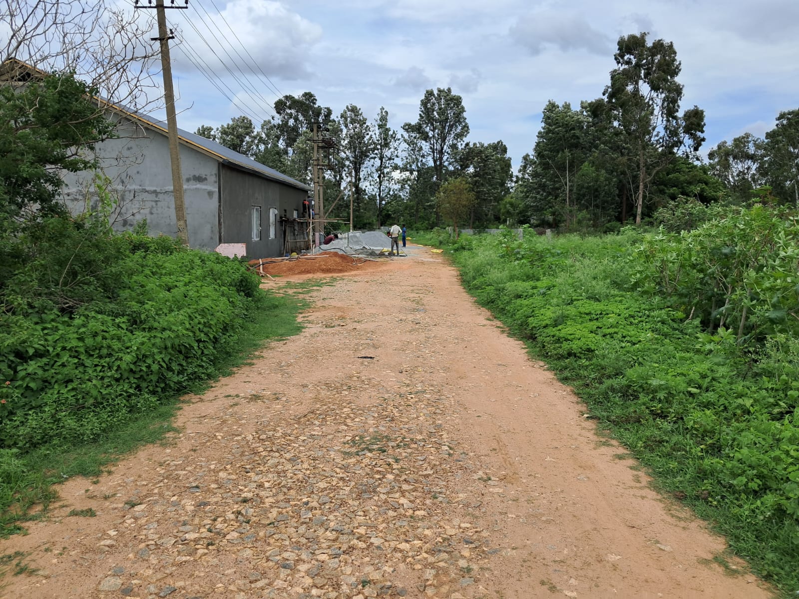 Plot For Sale in Independent Plot 4600sft 