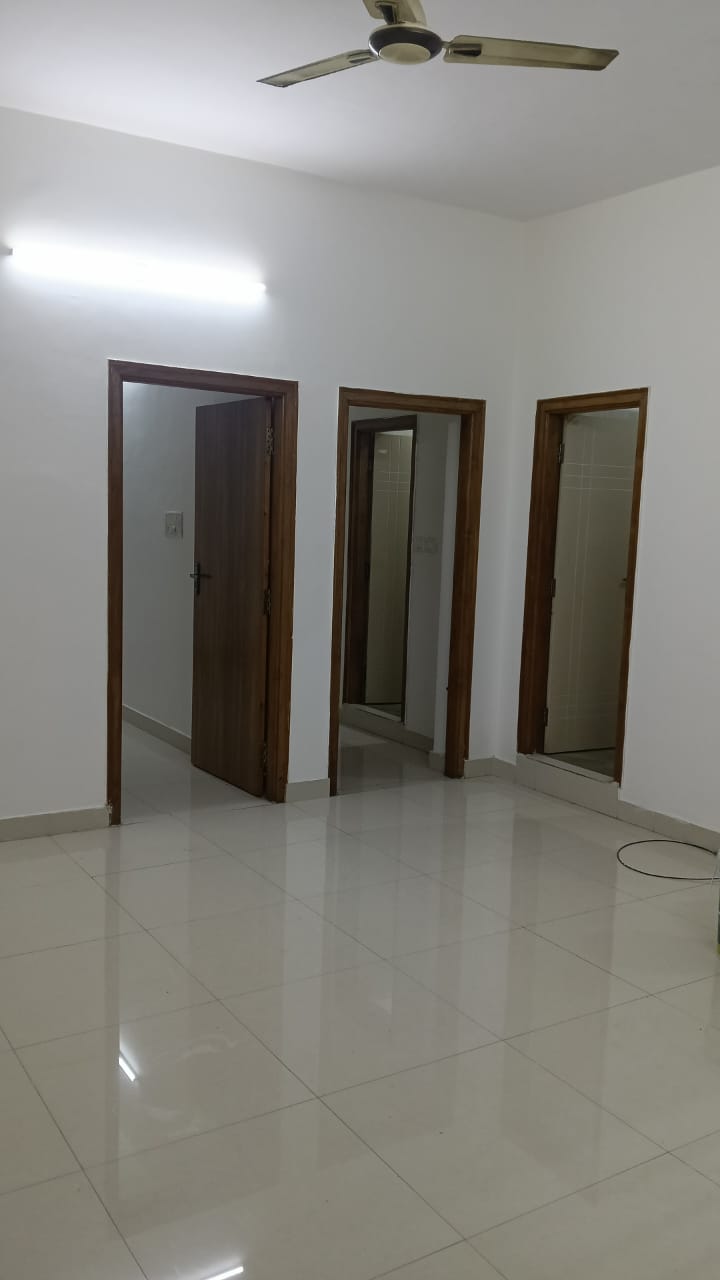 2 BHK Apartment For Rent in Kormangala Escort