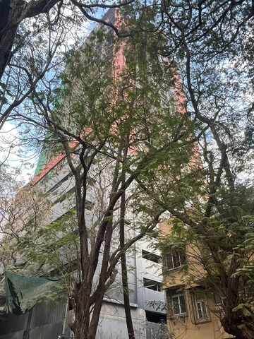 1 BHK Apartment – Garden View at Hindu Colony - for Rent