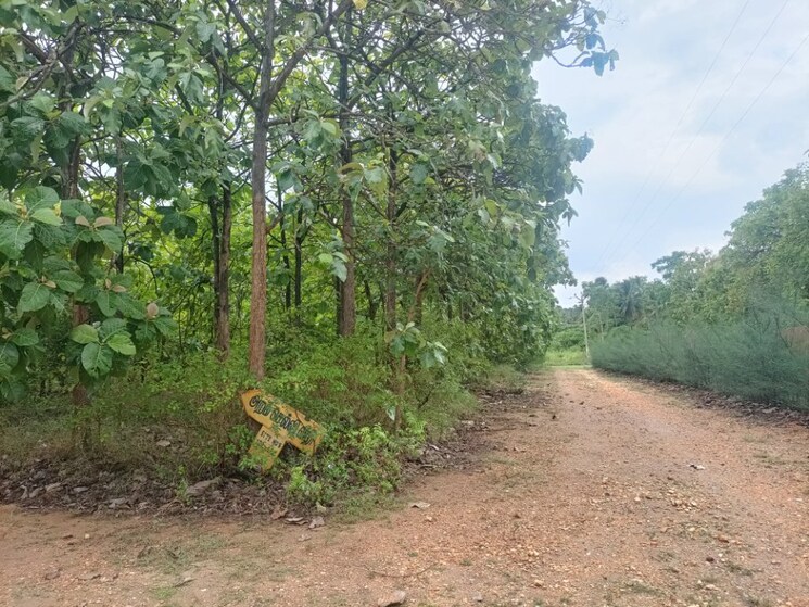 Exterior View, periyanaickenpalayam  4800 Sq.Ft. Plot In Periyanaickenpalayam Coimbatore 9062715