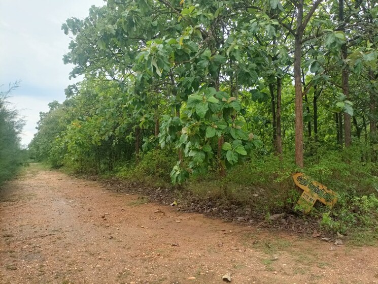 Exterior View, periyanaickenpalayam  4800 Sq.Ft. Plot In Periyanaickenpalayam Coimbatore 9062715