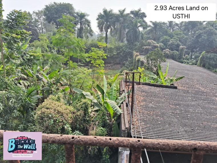 Garden, diamond harbour road Commercial Land 3 Acre In Diamond Harbour Road Kolkata 9062908