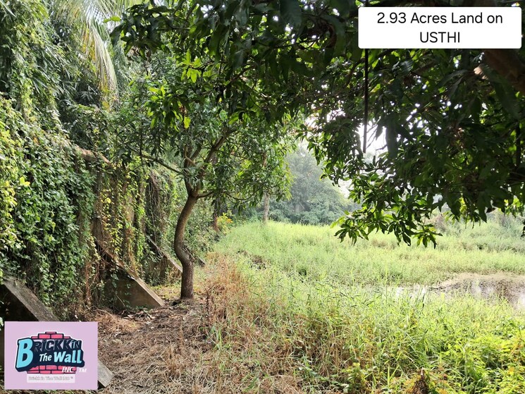 undefined, diamond harbour road Commercial Land 3 Acre In Diamond Harbour Road Kolkata 9062908