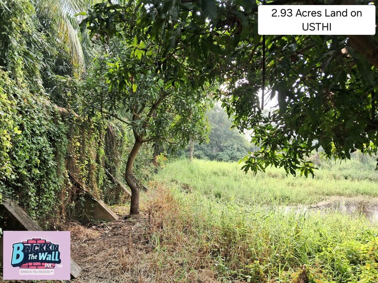 undefined, diamond harbour road Commercial Land 3 Acre In Diamond Harbour Road Kolkata 9062908