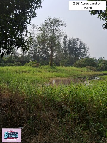 Plot Area in  Land at Diamond Harbour Road – for Sale