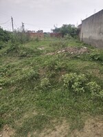 300 Sq.Yd. Plot in Shree Shyam Property Soni