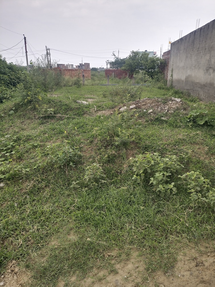 Cover Image, shiv colony  300 Sq.Yd. Plot In Shiv Colony Sonipat 9062912