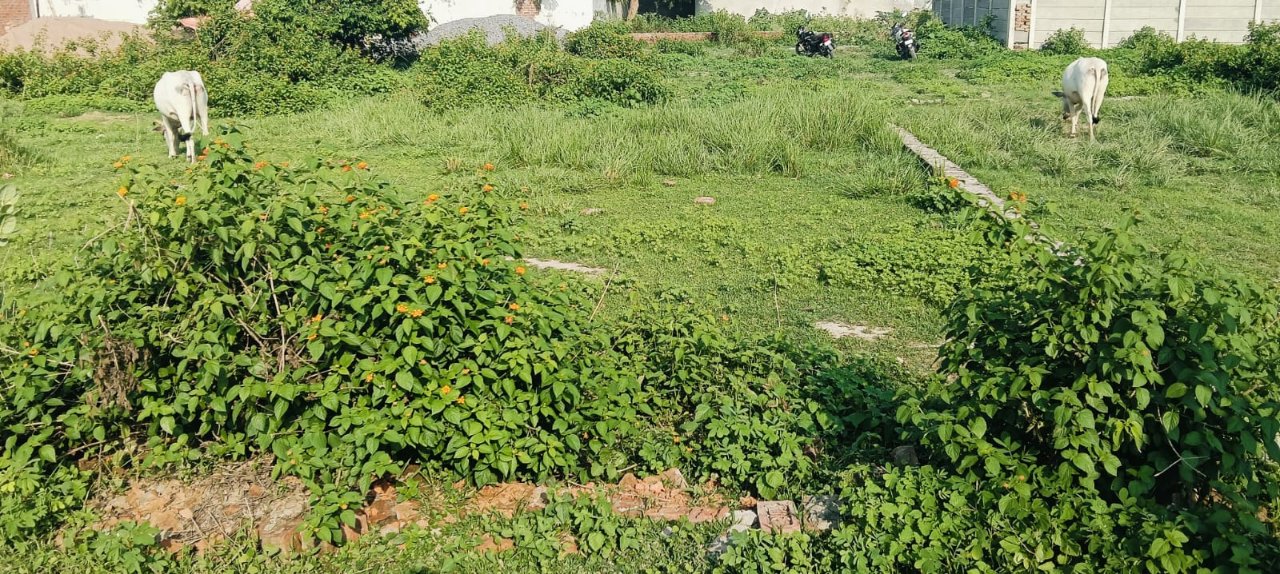 Plot For Sale in Kursi Road