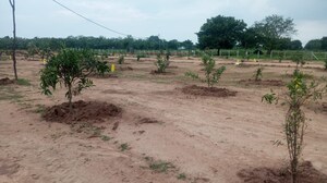 Plot Area in  Plot at Fortune County, Chellampalle – for Sale