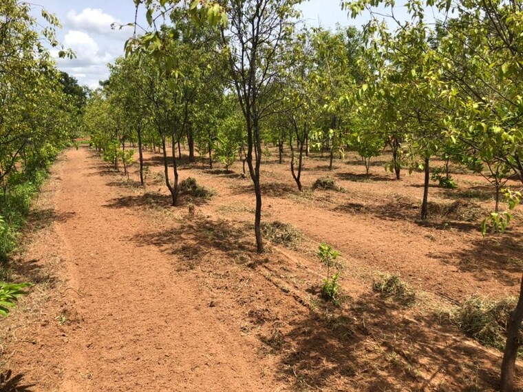 undefined, veekay-tree-shades  200 Sq.Yd. Plot In Burgula Village Hyderabad 9063044