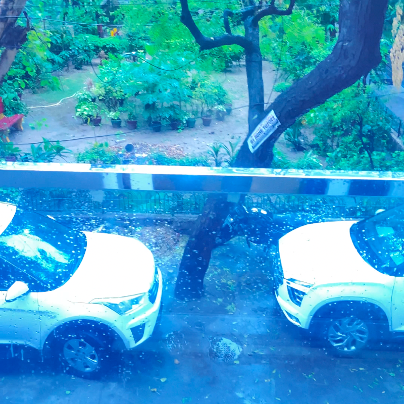 3 BHK Builder Floor For Sale in Builder Floor Sector 11 R