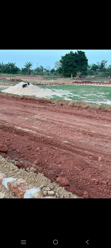 Plot Area in  Plot at Patrapada – for Sale