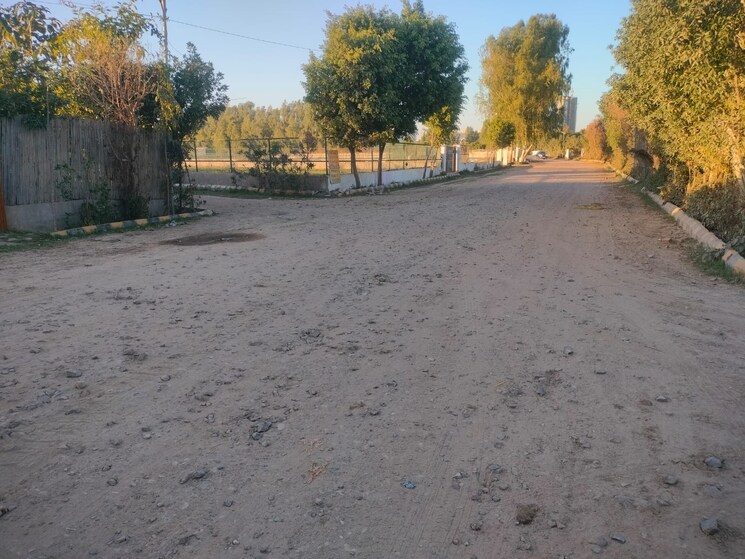 undefined, sector 27 yamuna expressway  2016 Sq.Ft. Plot In Sector 27 Yamuna Expressway Greater Noida 9063308