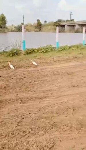  Plot For Sale in Rebanta Ganesham Bagh, Diggi Road